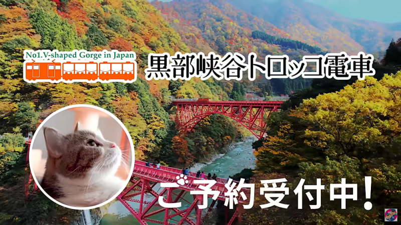 トロッコ電車運行中！【2025秋PR動画】	