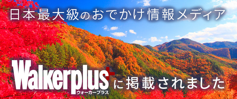 トップページ下段バナー：Ｗａｌｋｅｒｐｌｕｓ