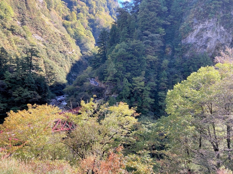 紅葉情報