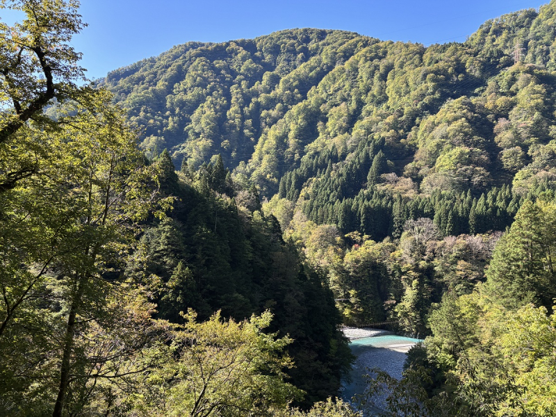 紅葉情報