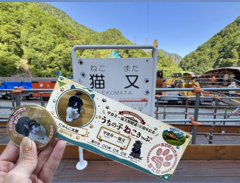 世界にひとつだけ！うちの子ねこきっぷ＆缶バッジプレゼント