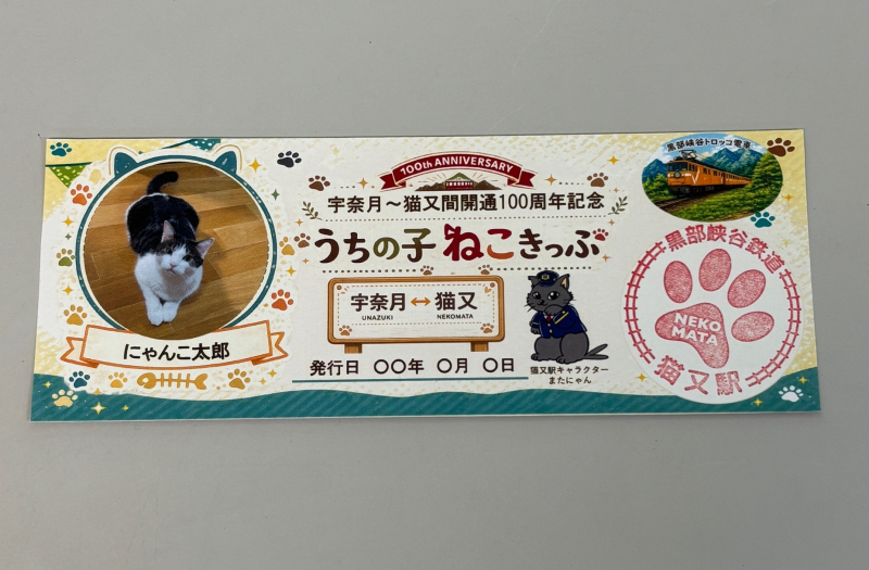 世界にひとつだけ！うちの子ねこきっぷ＆缶バッジプレゼント