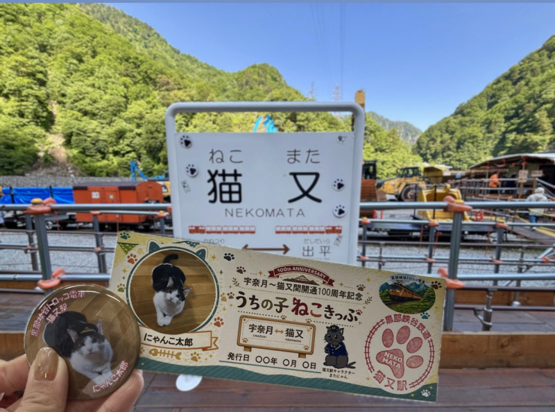 世界にひとつだけ！うちの子ねこきっぷ＆缶バッジプレゼント