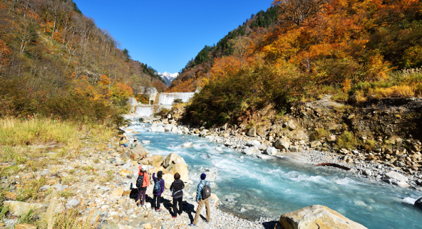 湧水地帯の地下水は全国名水百選にも選ばれています