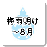 梅雨明け〜8月