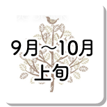 9月〜10月上旬