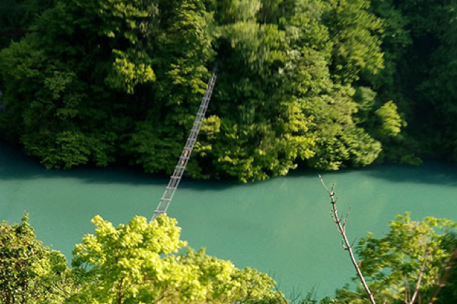 猿のつり橋