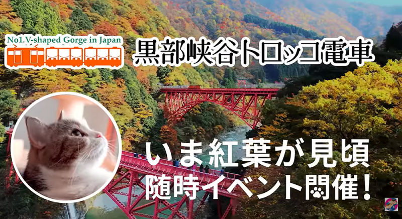 トロッコ電車運行中!【2025秋PR動画】