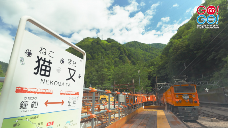 4月20日から運行開始（2026年春夏）