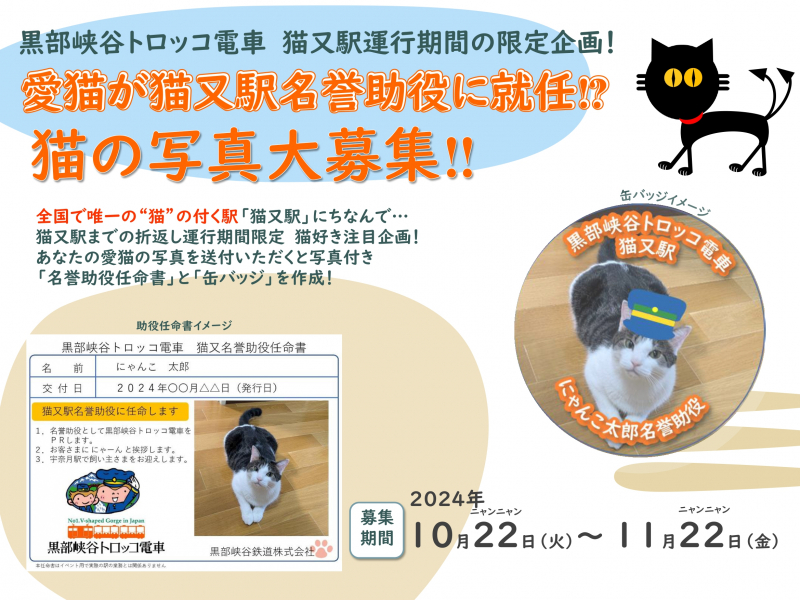 「猫又駅」乗降開始を記念して猫の「名誉助役」大募集!