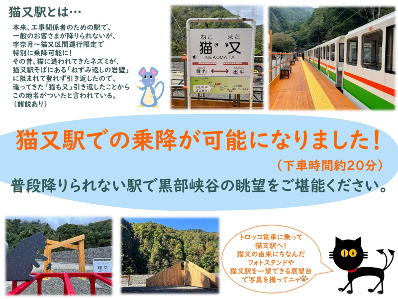 「猫又駅」乗降開始を記念して猫の「名誉助役」大募集!