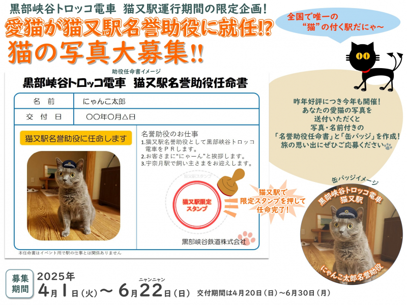 「猫又駅」での乗降にちなみ猫の「名誉助役」大募集！