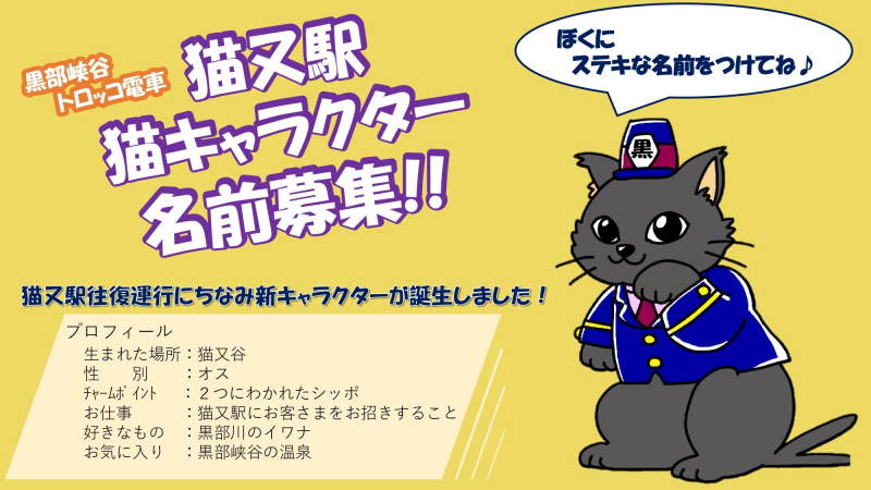 「猫又駅」猫キャラクターの名前募集について