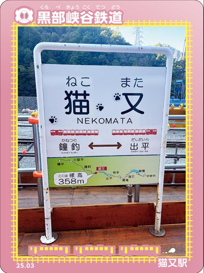 先着4,000枚‼ 6月1日から限定鉄カードを猫又駅で配布します!