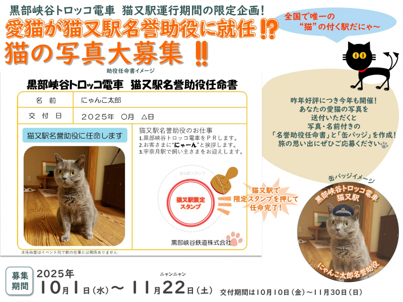 「猫又駅」での乗降にちなみ猫の「名誉助役」大募集！