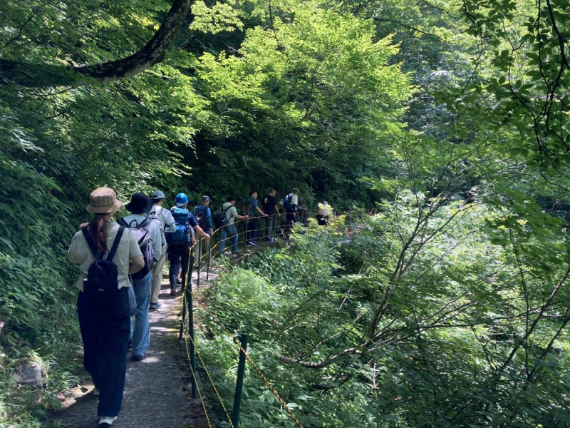 「秘湯・黒薙温泉 迫力の噴泉と ます寿司づくり体験付きトロッコ電車の旅」募集受付開始!