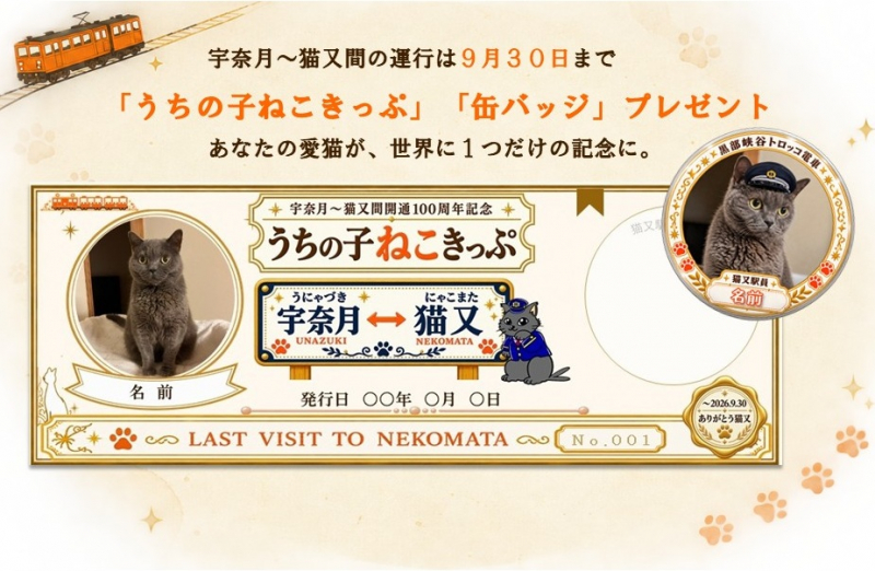 世界にひとつだけ!うちの子ねこきっぷ&缶バッジプレゼント!