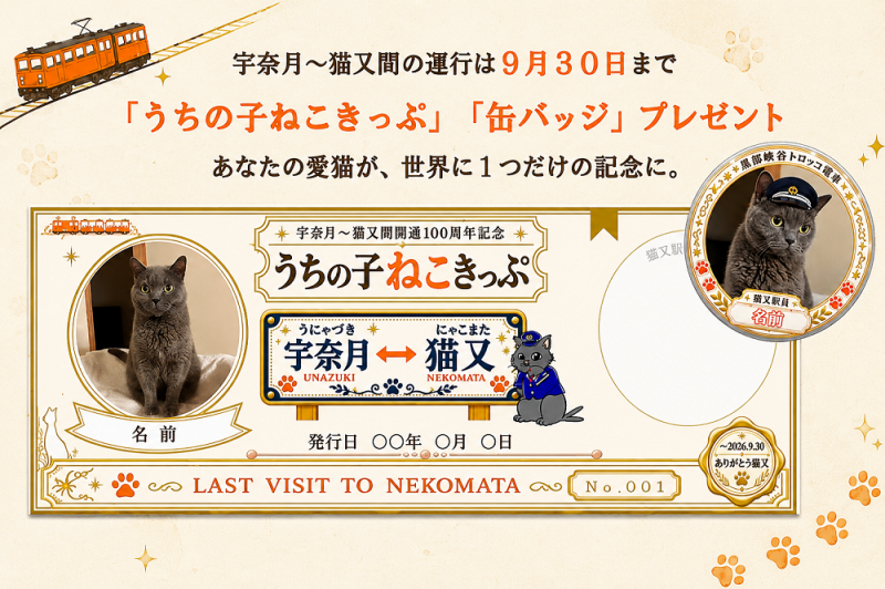 世界にひとつだけ!うちの子ねこきっぷ&缶バッジプレゼント