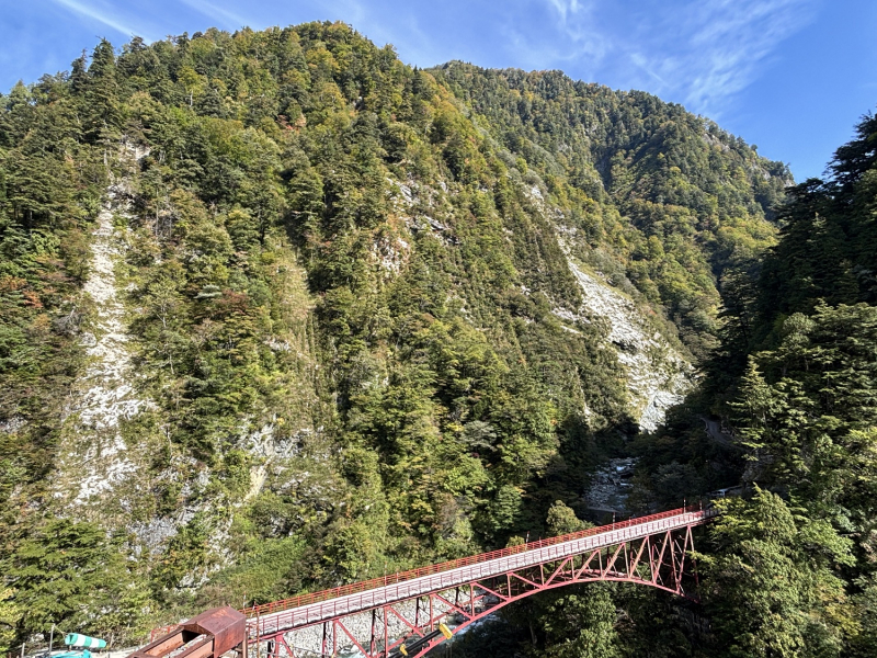 紅葉情報
