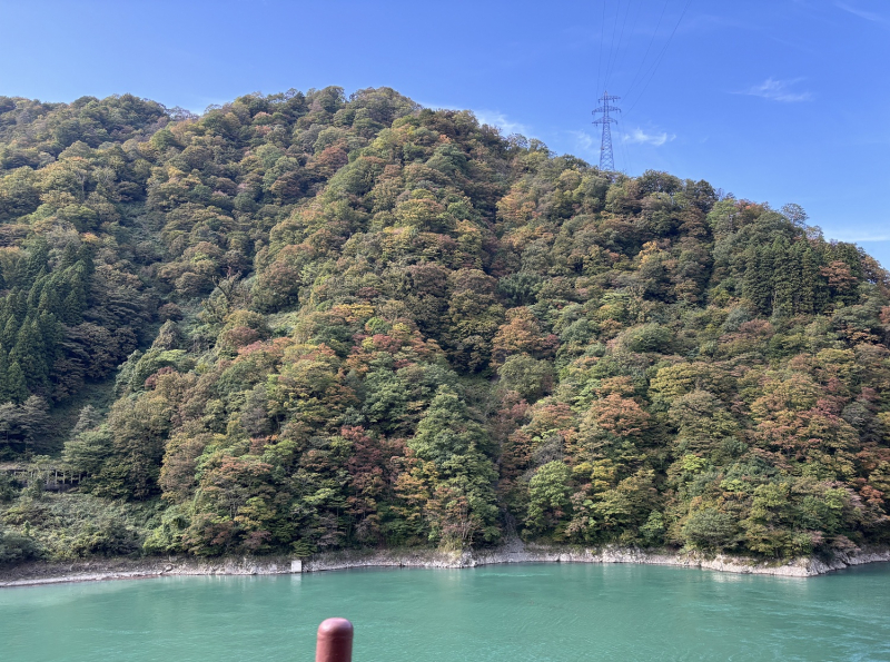 紅葉情報