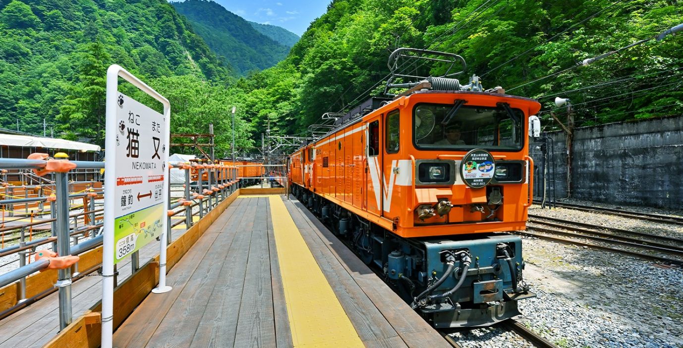 トップイメージ