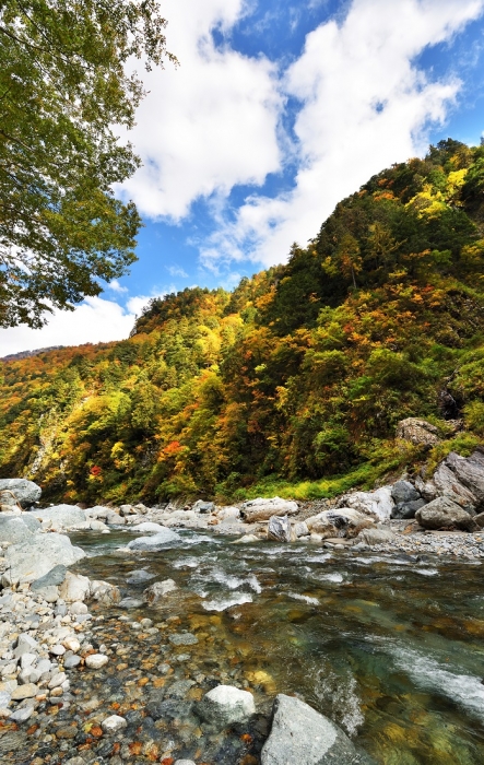 トップイメージ