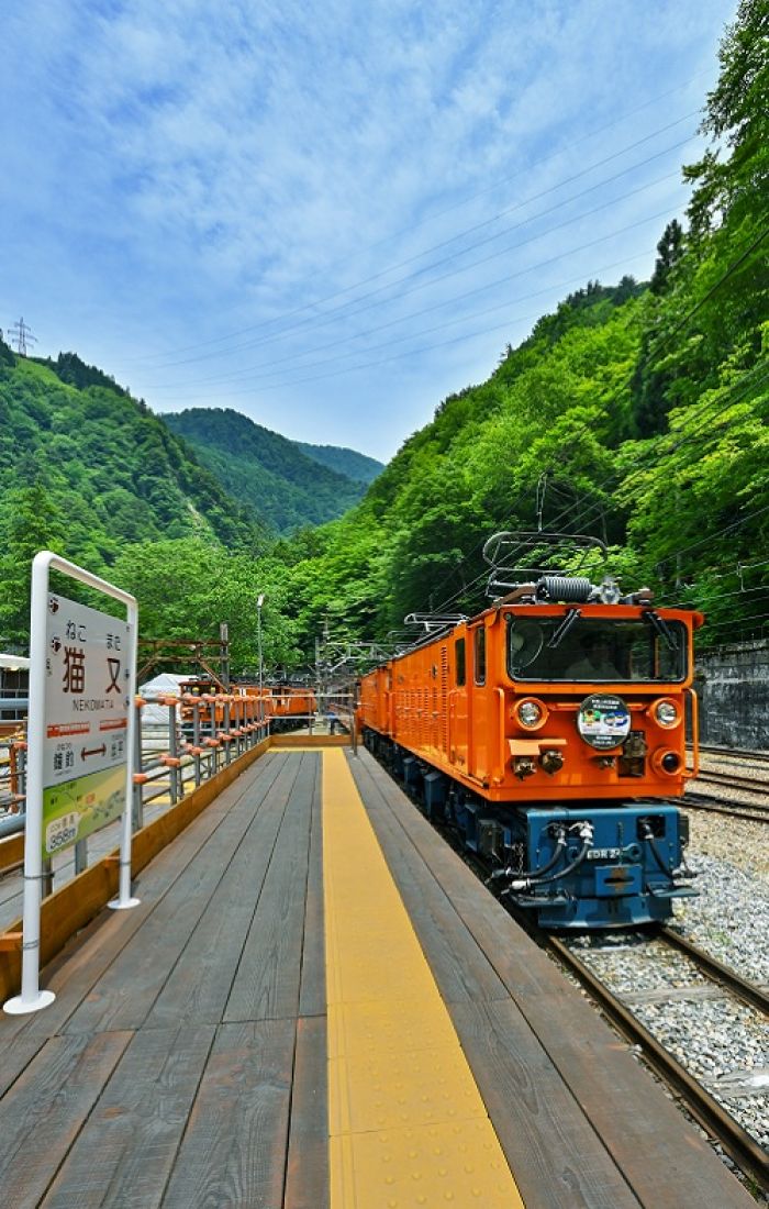 トップイメージ