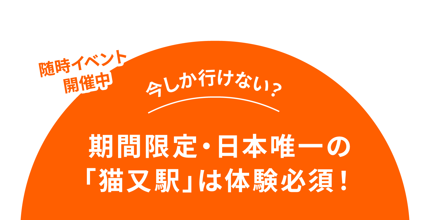 期間限定・日本唯一の「猫又駅」は体験必須！